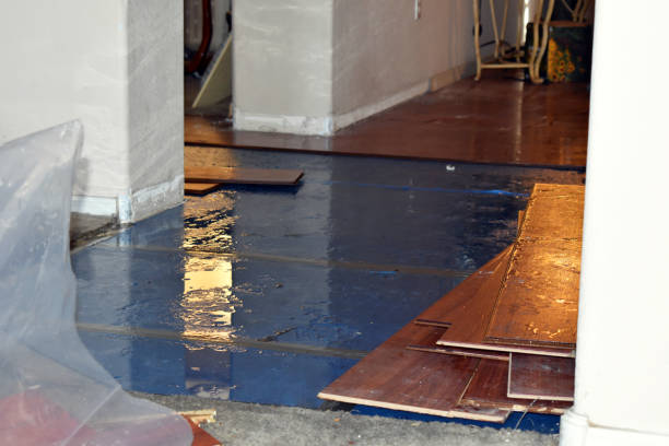 Professional Basement Flood Cleanup technician working in Mirror Lake, NH